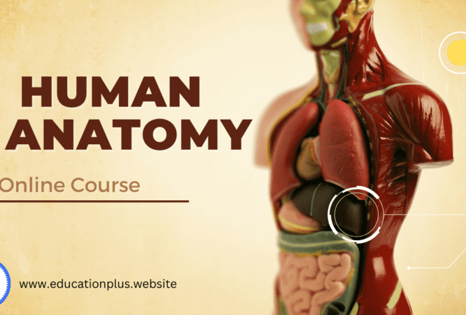 _Anatomy Course