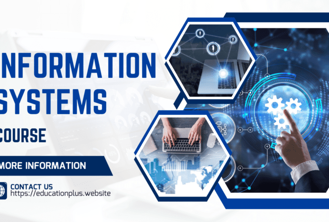 Information Systems course